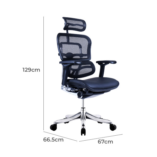 Ergohuman Plus Elite V2 Mesh Upholstered Office Chair